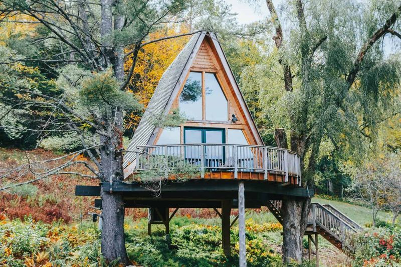 The Treehouse At Willow