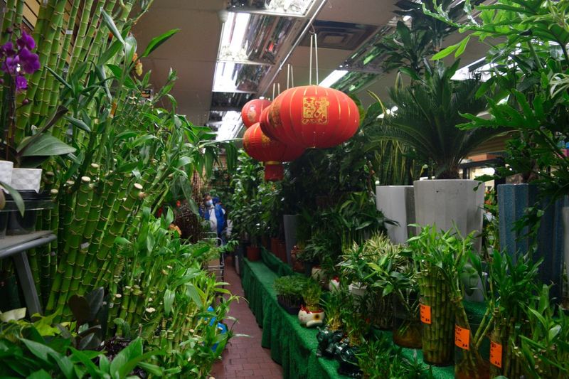 Soy Bean Chan Flower Shop – Flushing