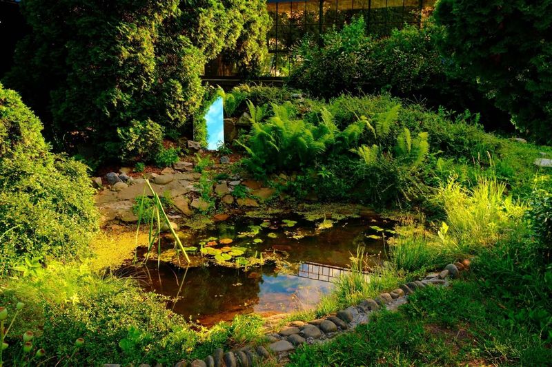 12 Garden Design Trends Shaping 2026 In New York - Decor Hint Rain Gardens And Stormwater Capture