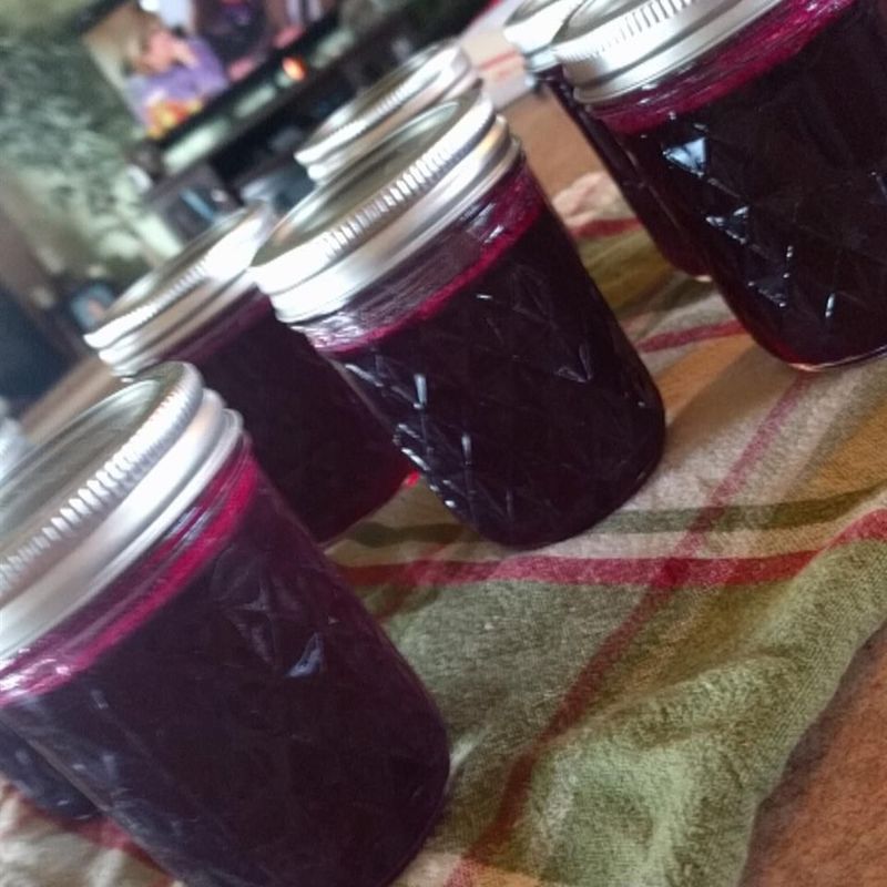 15 Authentic Nevada Recipes Worth Adding To Your Cookbook - Decor Hint Desert Prickly Pear Jelly
