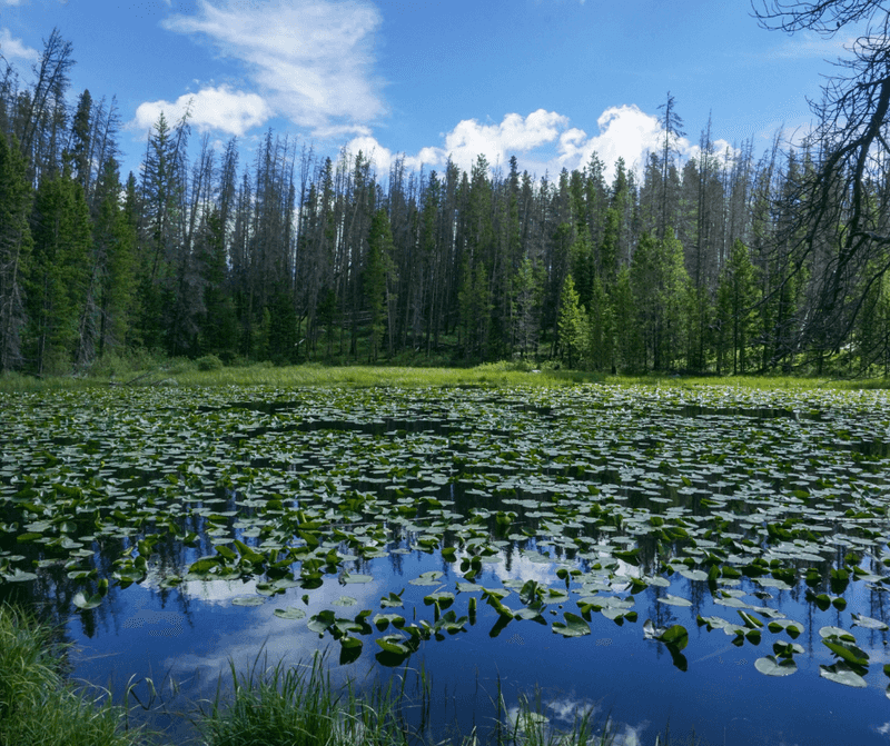 15 Hidden Colorado Lakes Locals Would Rather Keep To Themselves - Decor Hint Clayton Lake