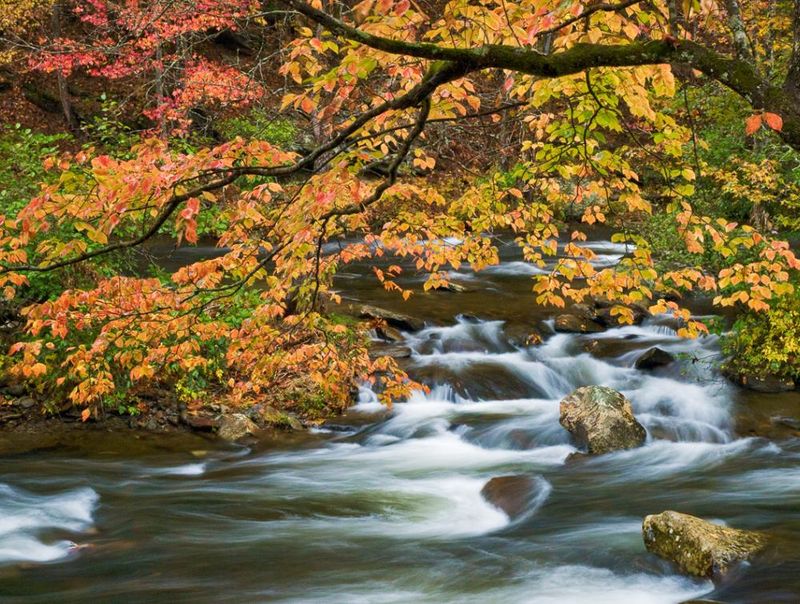Conservation Efforts To Preserve The Ocoee's Beauty
