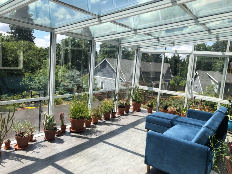 Indoor Gardens Thriving Under Filtered Light