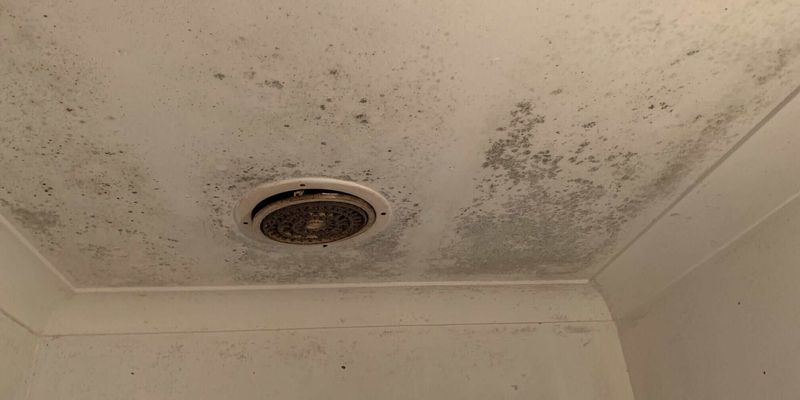 Nevada Homeowners Drive Across Town To Avoid Repeating These Bathroom Mistakes - Decor Hint Poor Ventilation Planning Leads to Mold Problems