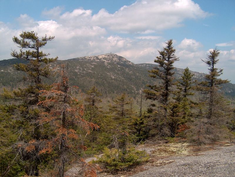 New Hampshire's Overlooked State Park Hides Epic Trails And Unforgettable Mountain Views - Decor Hint Cardigan Mountain State Park Hidden In Plain Sight