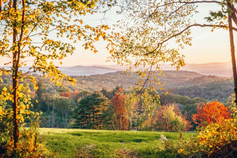 Walpole's Rural Elegance