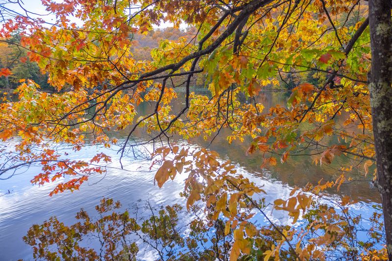 Peaceful Fall Getaways In Vermont Where You Can Actually Enjoy The Colors - Decor Hint Marsh-Billings-Rockefeller National Historical Park