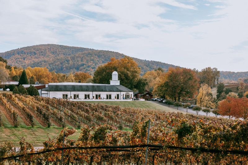 Appalachian Foothills Wine Trail
