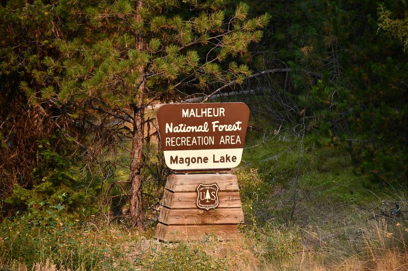 Oregon's Forest Hideaway With 360 Views And Endless Trails - Decor Hint Safety, Preparedness & Leave-No-Trace Tips