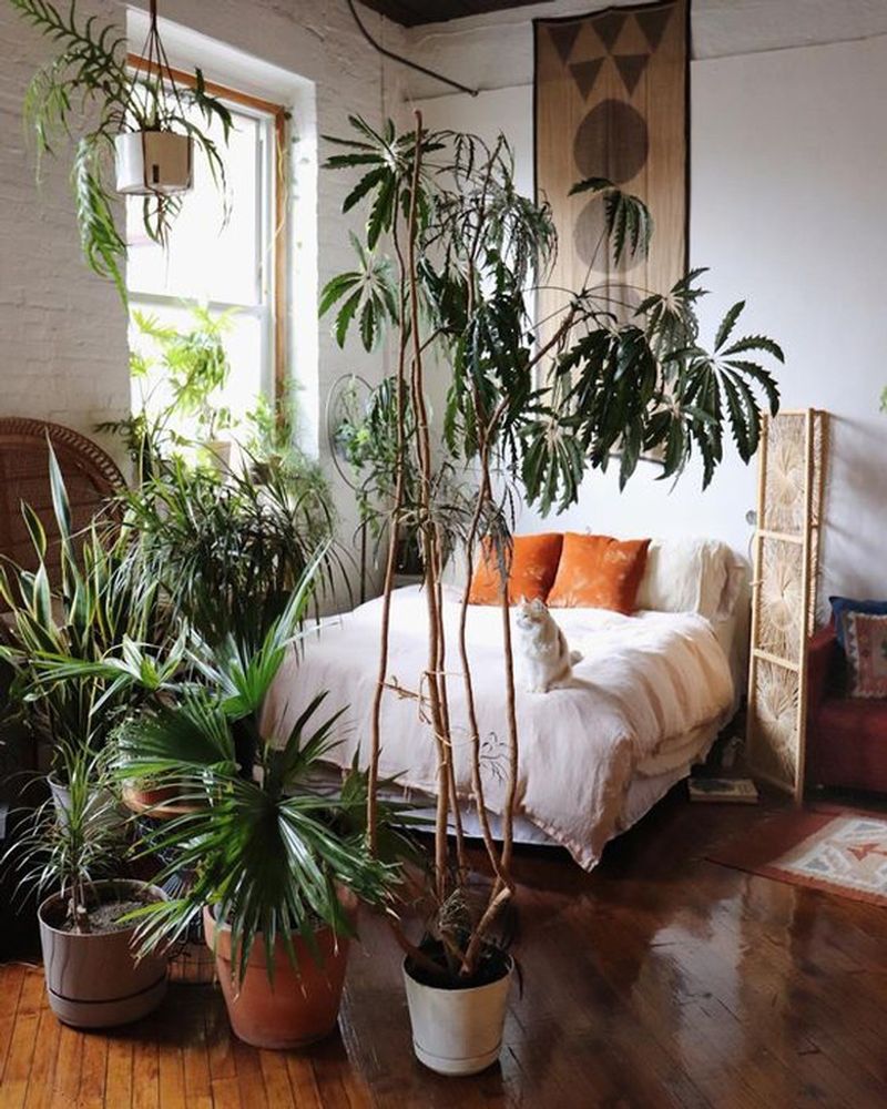 13 Miami Bedroom Trends That Prove Bold And Breezy Is Back For 2026 - Decor Hint Oversized Potted Plants