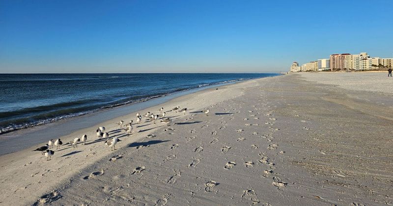 Cotton Bayou Beach
