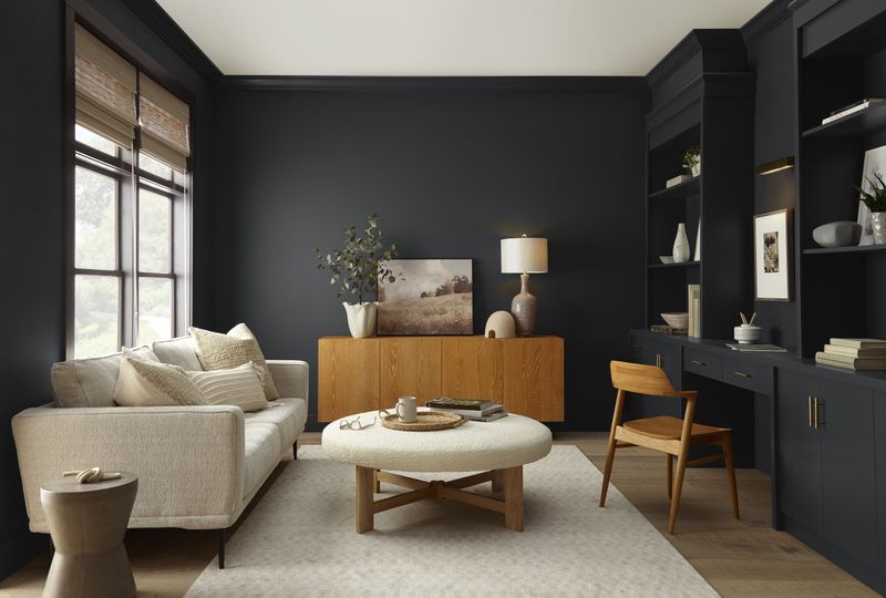 15 Paint Colors In Texas Designers Say Are Officially Out - Decor Hint Black Matte Everything