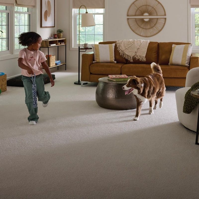 Wall-to-Wall Berber Carpet