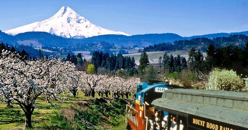 10 Oregon Train Rides Offering Breathtaking Coastal And Mountain Views - Decor Hint Mount Hood Railroad
