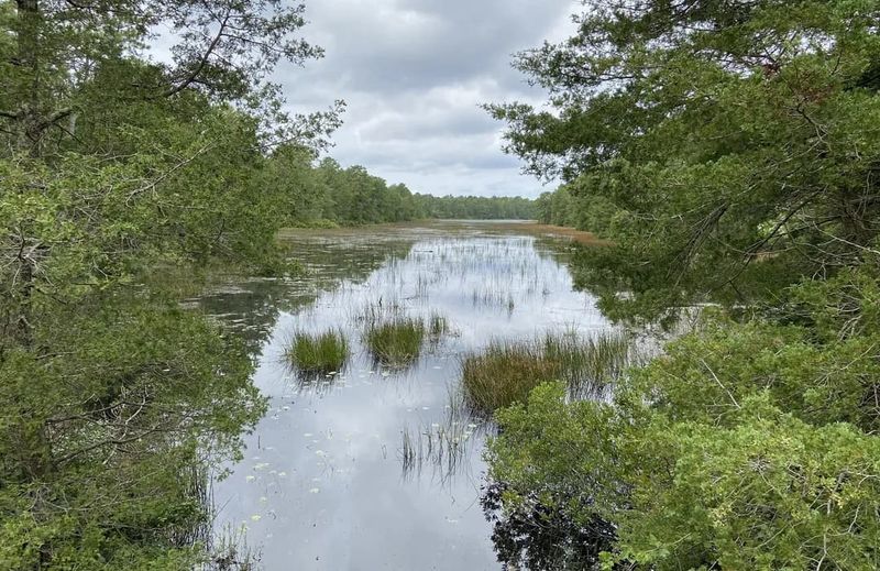 Escape The Crowds At These 16 Quiet Lakes In New Jersey - Decor Hint Lake Absegami