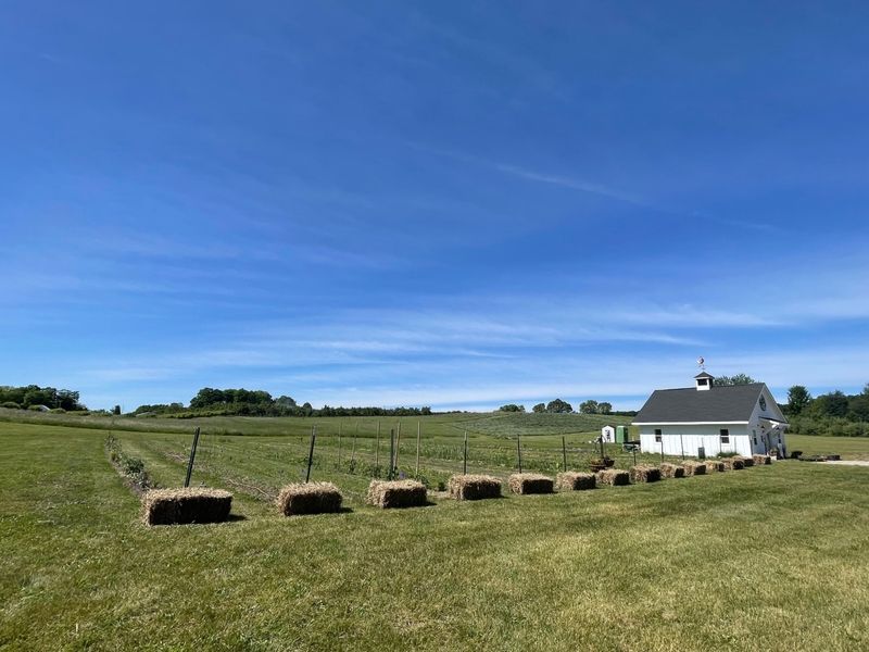 11 Michigan Property Types Likely Headed For Price Cuts By 2026 - Decor Hint Remote Rural Properties Far From Cities
