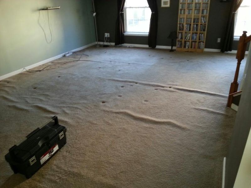 10 Things Pennsylvania Sellers Leave Behind That Buyers Secretly Dislike - Decor Hint Stained Carpeting in Basements