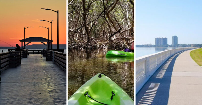Outdoor Activities To Enjoy In Tampa With Friends Or Family