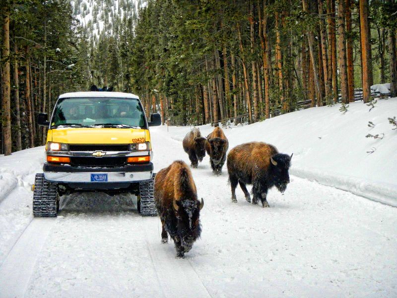 14 Places In The US You Might Regret Visiting For A Winter Vacation - Decor Hint Yellowstone National Park, Wyoming