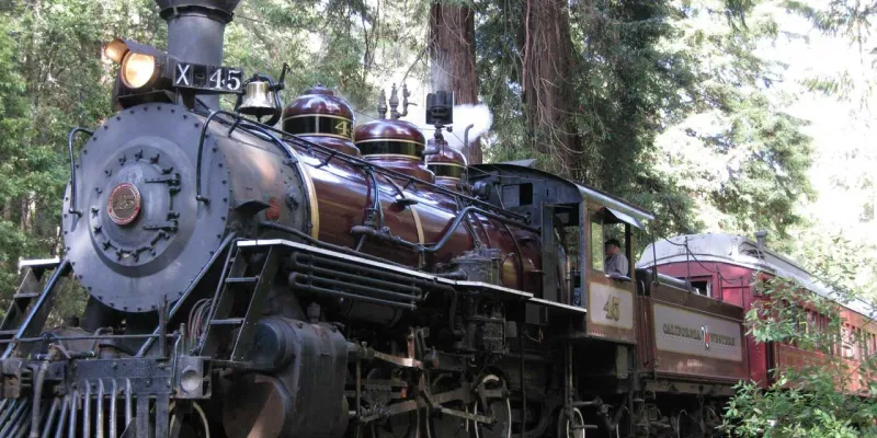 California's Most Beautiful Train Rides For An Unforgettable Adventure - Decor Hint Skunk Train through Redwood Forest