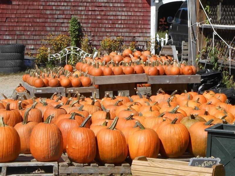 Fall River, Massachusetts Eats Up The Season With Spooky Pizza Parties, Paint Nights And More - Decor Hint Halloween Candy Ice Cream Returns At The Ice Cream Barn