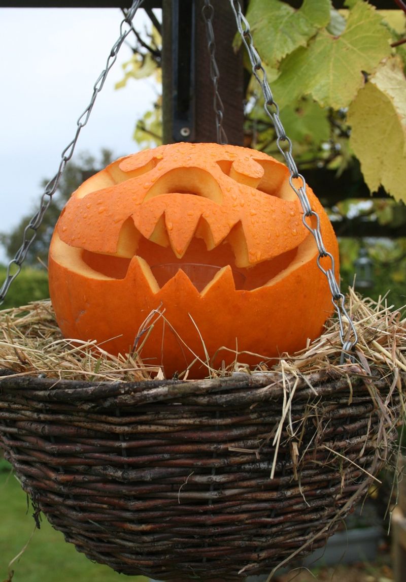 Carved Pumpkins Placed In Wicker Baskets