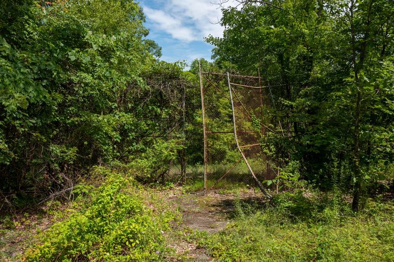 12 Abandoned Amusement Parks In New Jersey Frozen In Time - Decor Hint Jungle Habitat