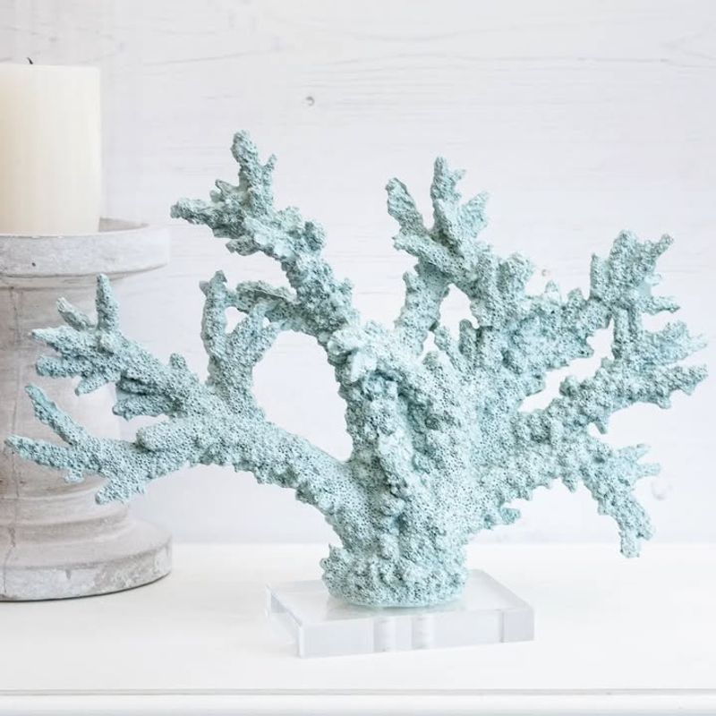 Coral Accent Pieces