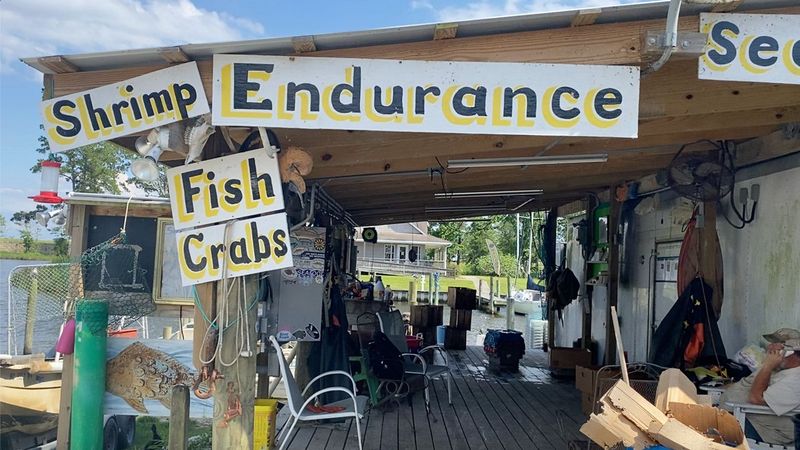 Endurance Seafood - Oriental