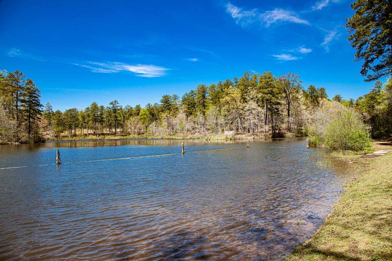 14 Hidden Lakes In Alabama That Are Perfect For Fishing Camping And Escaping It All - Decor Hint Coleman Lake