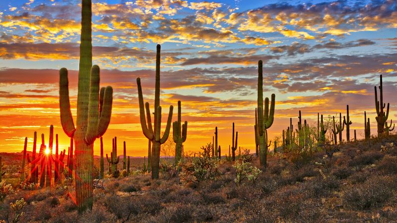 10 Arizona Cities Perfect For Affordable Winter Vacations - Decor Hint Tucson