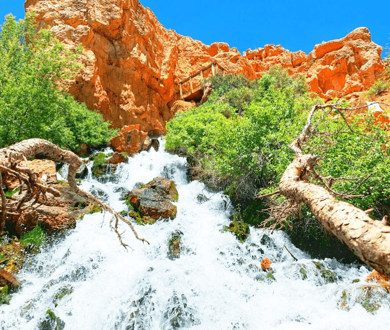 Trails In Utah That Show Why Hiking Here Is Unforgettable - Decor Hint Cascade Falls Trail in Dixie National Forest
