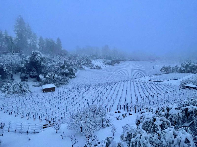12 Reasons The Napa Valley Wine Train Is The Ultimate Winter Bucket List Experience - Decor Hint Photography Opportunities Capture Dramatic Lighting