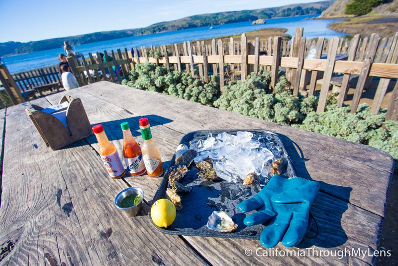 California's Best Seafood Restaurants Loved By Locals - Decor Hint Hog Island Oyster Co., Marshall