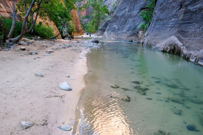 15 Ways To Experience The Magic Of Zion National Park Without The Crowds - Decor Hint Wade The Virgin River