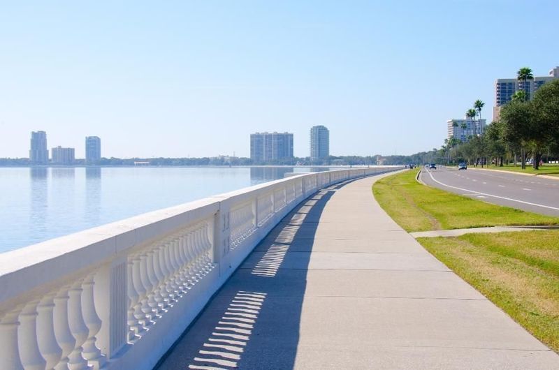Outdoor Activities To Enjoy In Tampa With Friends Or Family - Decor Hint Biking the Bayshore Boulevard Trail