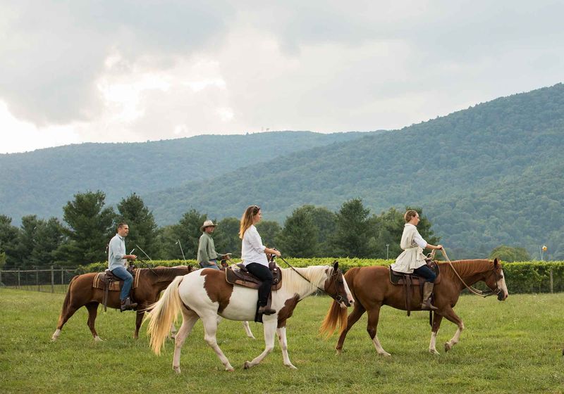 Coastal Virginia Wine Path