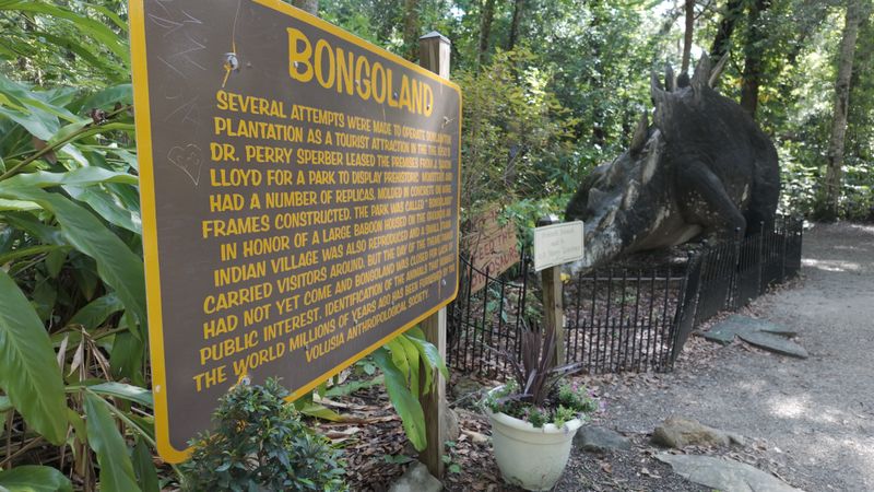 Vanished Fun At Florida Amusement Parks Forgotten By Time - Decor Hint Bongoland, Daytona Beach