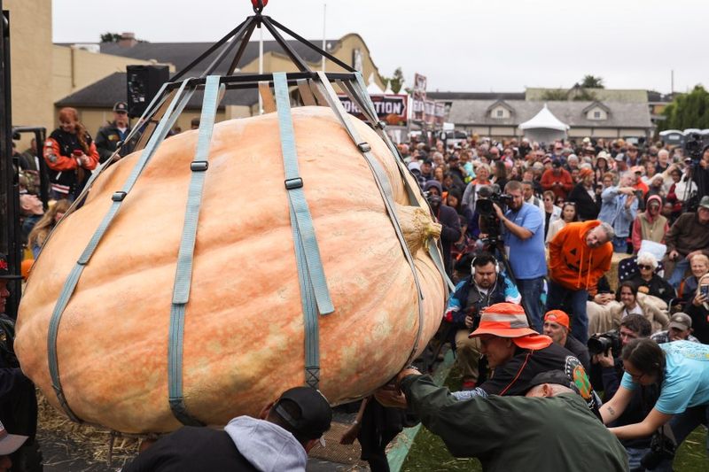 10 California Coastal Towns Overrun By Tourists, According To Locals - Decor Hint Half Moon Bay