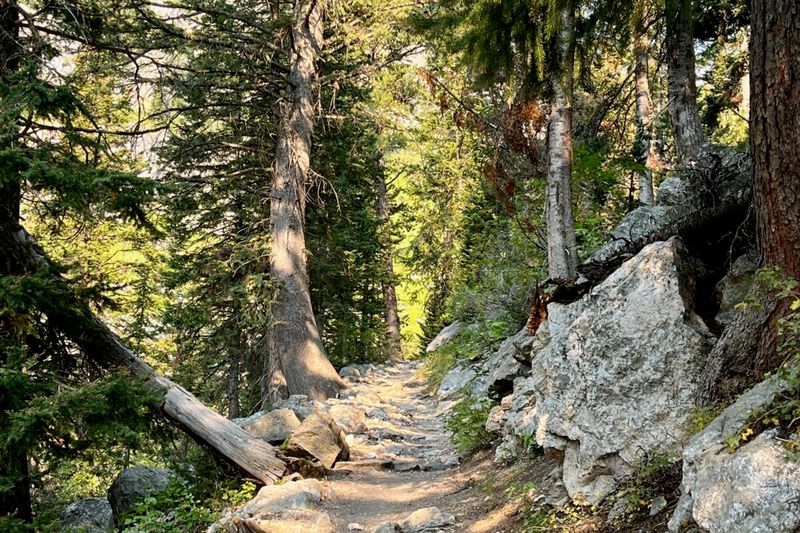 Jackson Hole, Wyoming Keeps Summer Fun Going With Extended Activities - Decor Hint Balancing Fewer Crowds With Limited Services