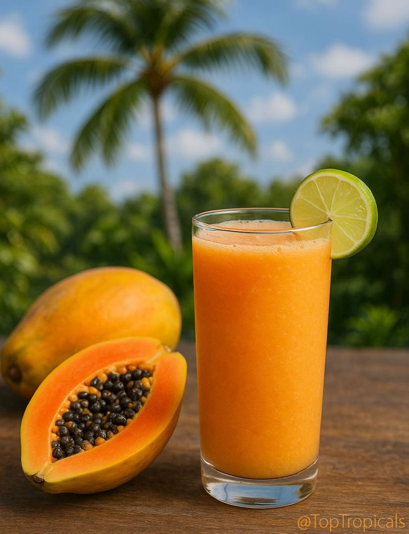 Tropical Fruit Smoothie