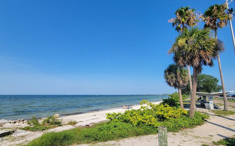 Outdoor Activities To Enjoy In Tampa With Friends Or Family - Decor Hint Swimming at Ben T. Davis Beach