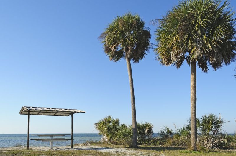 Outdoor Activities To Enjoy In Tampa With Friends Or Family - Decor Hint Bird Watching at E.G. Simmons Park