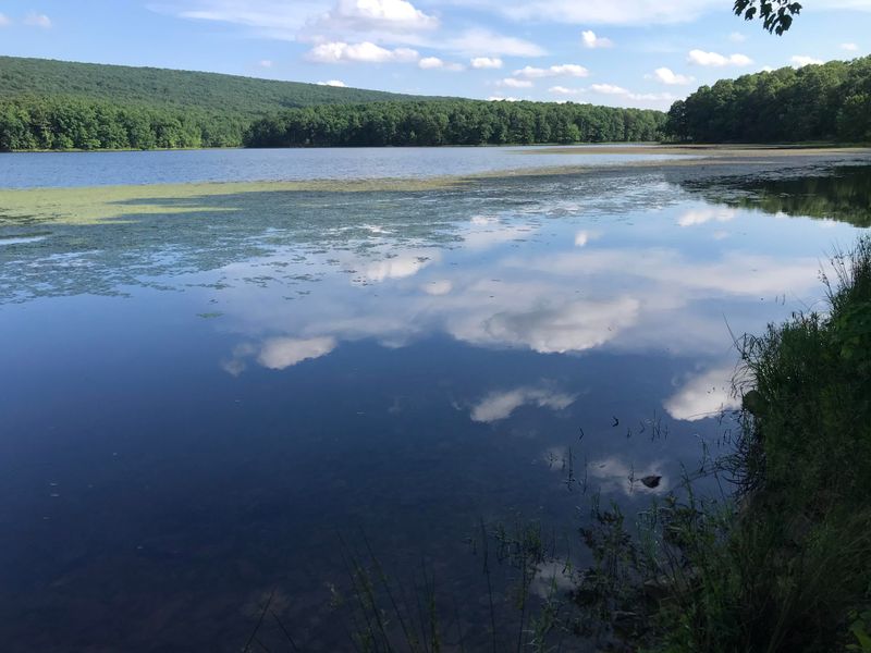 17 Scenic West Virginia Lakes You'll Fall In Love With - Decor Hint Sleepy Creek Lake