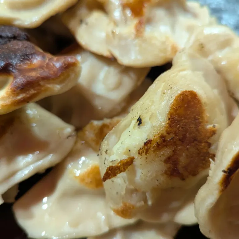 Discover New Jersey Pierogi Spots Loved By Locals - Decor Hint Taste of Poland, Jersey City