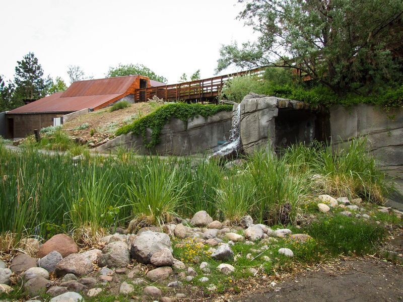 14 Deserted Nevada Amusement Parks That Nature Is Taking Back - Decor Hint Great Basin Adventure - Reno (Rancho San Rafael Park)