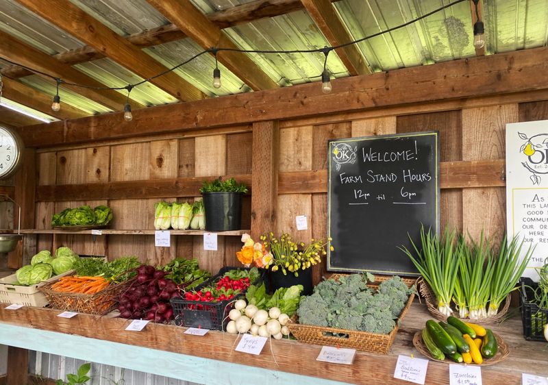 The Farm-to-Table Movement That Redefined Local Dining