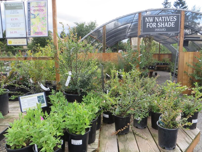 Portland Nursery