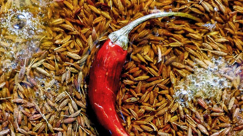 Texas' Slow Cooker Chili Is The Southern Comfort Classic You Will Make Again And Again - Decor Hint Toasting And Layering The Spices