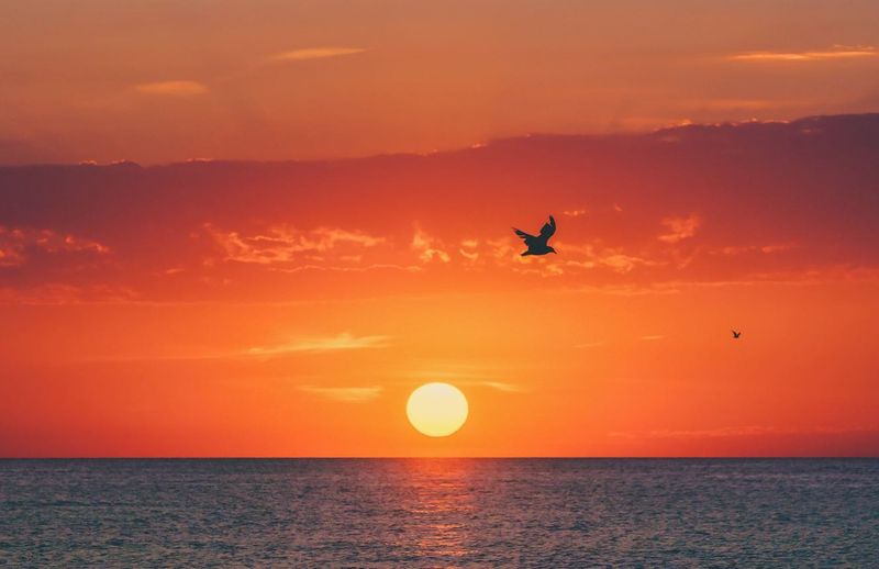Pennsylvania Coastal Pieces Everyone Should See - Decor Hint Lake Erie Sunset Photography